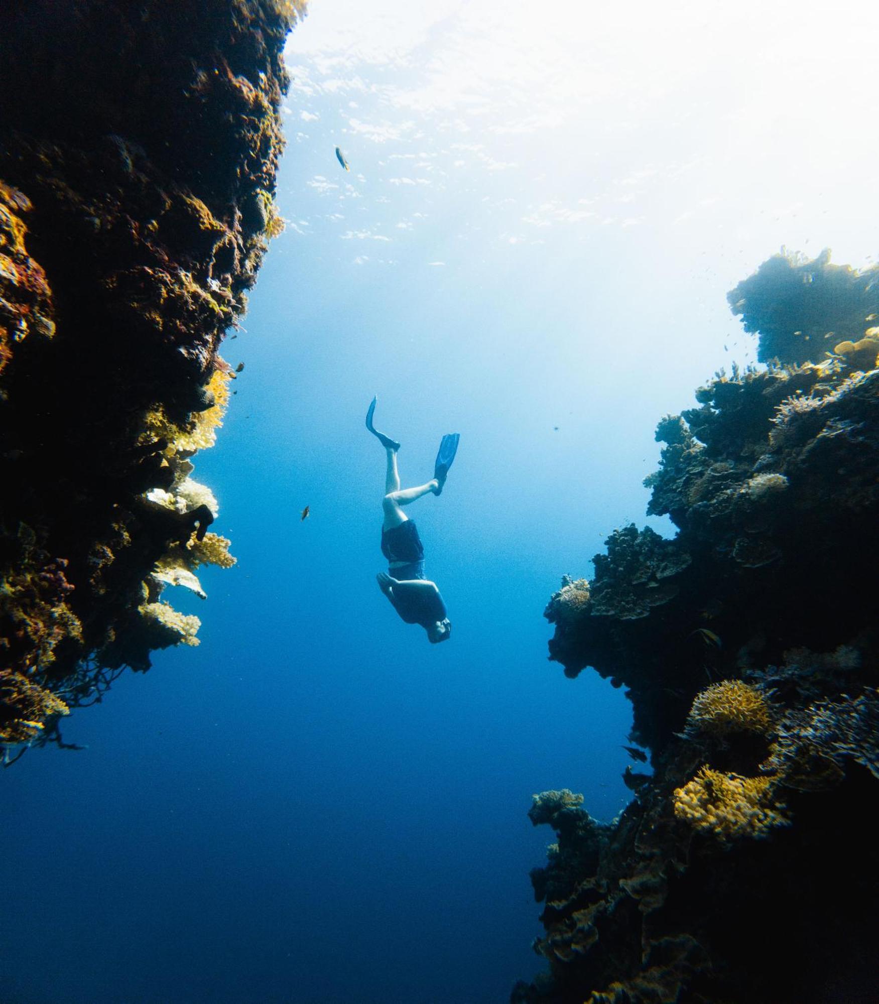 Reconnect - Private Island Resort & Dive Center Togean - Buka Buka Island Ampana Екстериор снимка