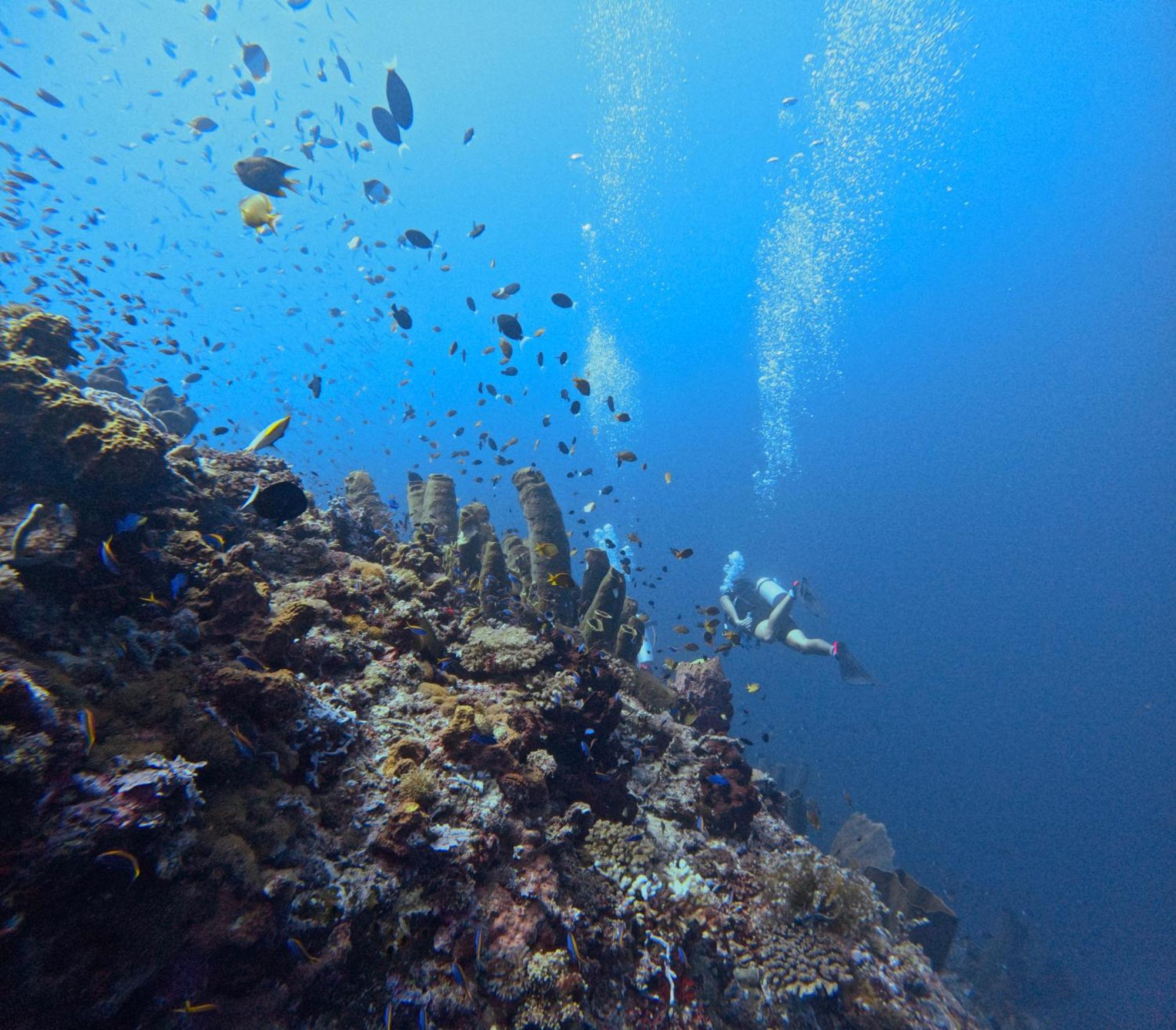 Reconnect - Private Island Resort & Dive Center Togean - Buka Buka Island Ampana Екстериор снимка